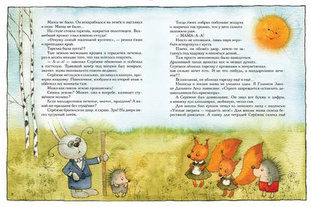 Серёжик. Ракитина Е. Художник Кирдий В. Речь