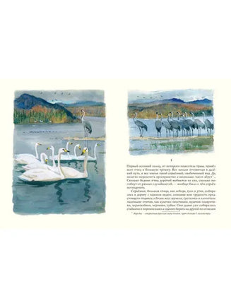 Серая шейка. Мамин-Сибиряк Д Printed books Речь