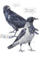 Познавательные истории. Животный мир городов. Printed books BHV