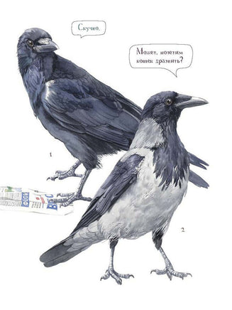 Познавательные истории. Животный мир городов. Printed books BHV