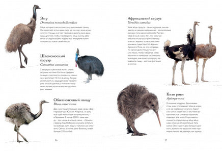 Тайны дикой природы МАХАОН