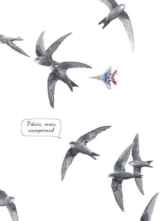 Познавательные истории. Животный мир городов. Printed books BHV