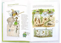 Поделки Финдуса. Нурдквист Свен Printed books Белая Ворона