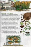 Поделки Финдуса. Нурдквист Свен Printed books Белая Ворона