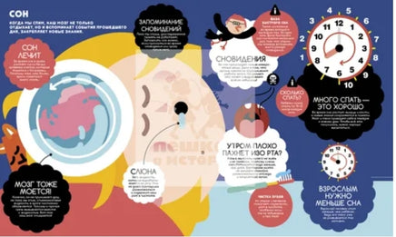 Учимся вместе с Олли и Молли. Человек Printed books Пешком в Историю