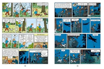 Чёрный остров. Приключения Тинтина. Эрже Printed books Мелик Пашаев