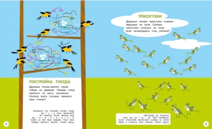 Туканы, синицы и другие птицы. Физмат для дошколят Printed books МАХАОН