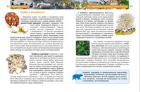 Красная книга. Энциклопедия школьника Printed books Росмэн