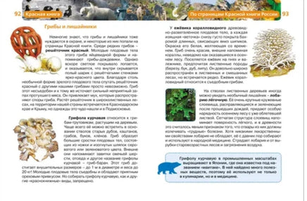 Красная книга. Энциклопедия школьника Printed books Росмэн