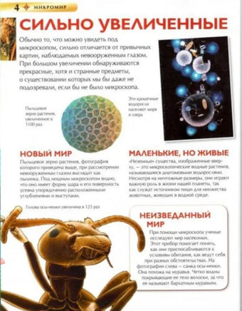 Микромир. Детская энциклопедия для школьников Printed books Росмэн