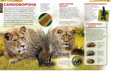 Млекопитающие. Детская энциклопедия для школьников Printed books Росмэн