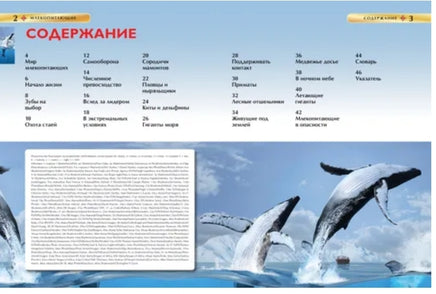 Млекопитающие. Детская энциклопедия для школьников Printed books Росмэн