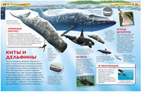 Млекопитающие. Детская энциклопедия для школьников Printed books Росмэн