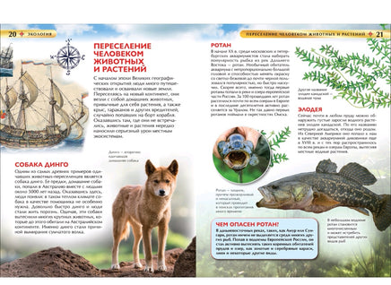 Экология. Детская энциклопедия для школьников Printed books Росмэн