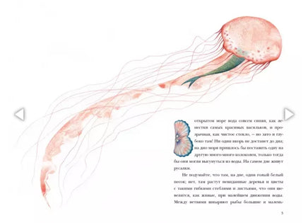 Русалочка. Г. Х. Андерсен Printed books Нигма