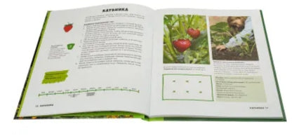 Мой первый огород. Посей, собери, съешь Printed books Белая Ворона