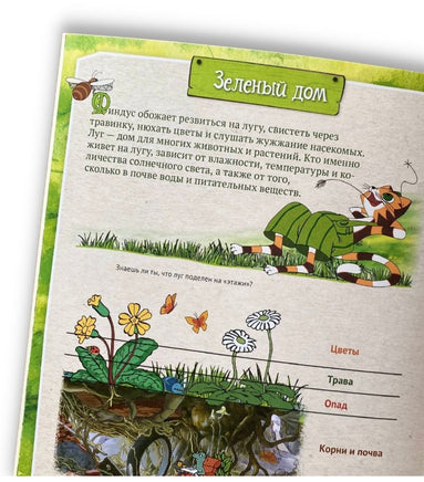 Петсон и Финдус изучают животных Printed books Белая Ворона