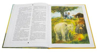 УЦЕНКА. Сотворение мира Printed books Белая Ворона