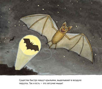 Удивительные летучие мыши Printed books Белая Ворона