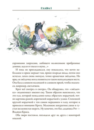 Ветер в ивах. Кеннет Грэм. БМЛ Printed books СЗКЭО