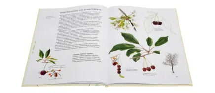 Софи в мире ягод Printed books Белая Ворона