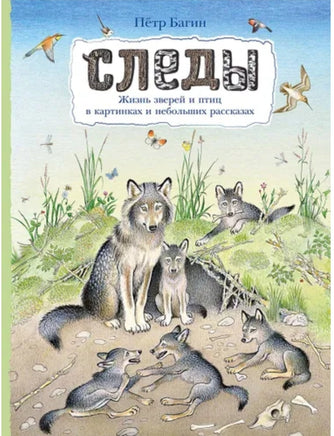 Следы. Петр Багин Printed books Мелик Пашаев