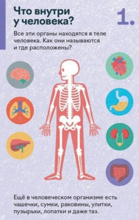 Набор детских развивающих карточек «Как устроен человек», серия «Наука в кармане./1 Printed books Розовый Жираф