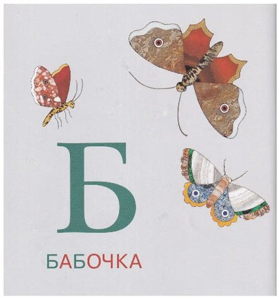 Азбука животный мир из коллекции Эрмитажа Printed books Арка