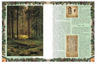 Беседы о русском лесе Printed books Белый город