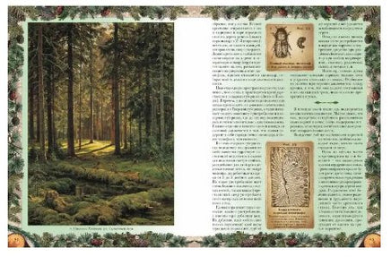 Беседы о русском лесе Printed books Белый город