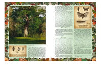 Беседы о русском лесе Printed books Белый город