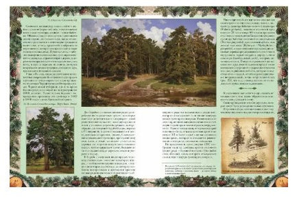 Беседы о русском лесе Printed books Белый город