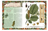 Беседы о русском лесе Printed books Белый город