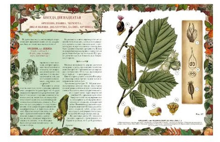 Беседы о русском лесе Printed books Белый город