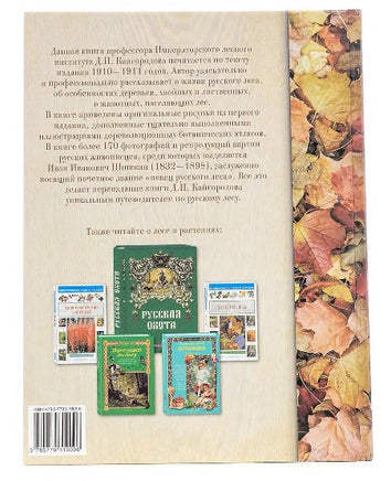 Беседы о русском лесе Printed books Белый город