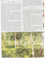 Беседы о русском лесе Printed books Белый город