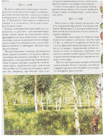 Беседы о русском лесе Printed books Белый город