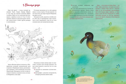Жил да был додо. О вымирании и выживании видов Printed books Редкая Птица