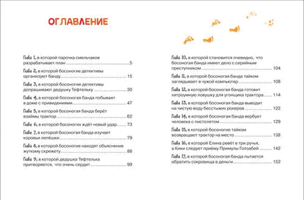 Босоногая банда. Дело о пропавшей бабушке Printed books Росмэн