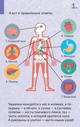 Набор детских развивающих карточек «Как устроен человек», серия «Наука в кармане./1 Printed books Розовый Жираф