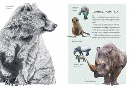 Тайны дикой природы МАХАОН