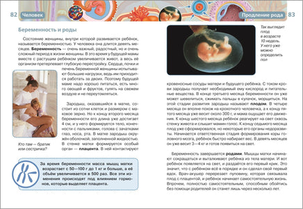 Человек. Детская Энциклопедия Printed books Росмэн