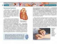 Человек. Детская Энциклопедия Printed books Росмэн