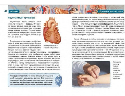 Человек. Детская Энциклопедия Printed books Росмэн