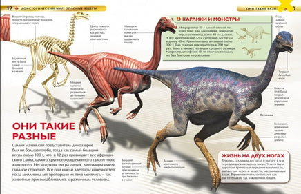 Доисторический Мир. Детская энциклопедия для школьников Printed books Росмэн