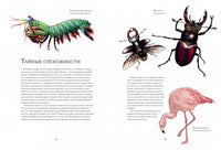 Тайны дикой природы МАХАОН