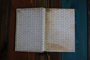 Евгений Онегин. Малая книга с историей. ИД Мещерякова