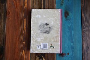 Евгений Онегин. Малая книга с историей. ИД Мещерякова