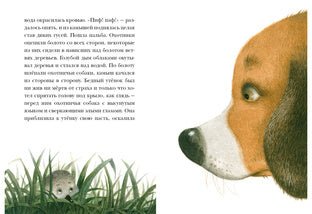Гадкий утенок. Г.Х.Андерсен Нигма