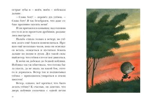 Гадкий утенок. Г.Х.Андерсен Нигма